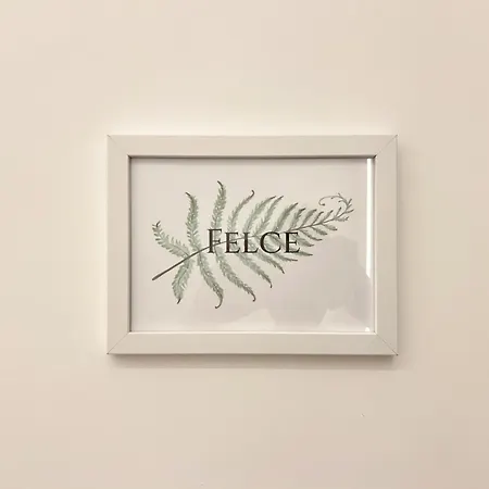 Lilium *