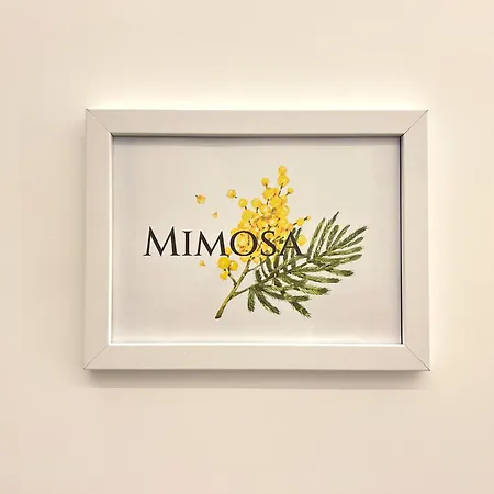 Pensjonat Lilium Rzym